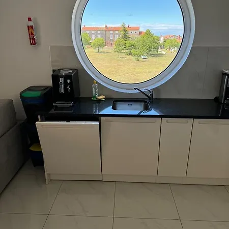 Apartment Penthouse With Pool Funtana